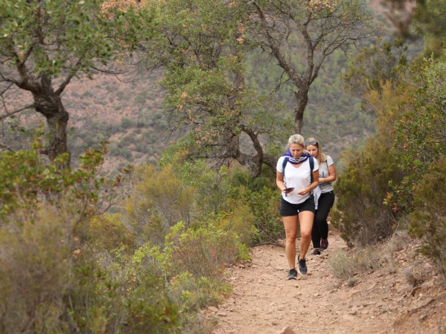 Wandeling in het Esterel gebergte