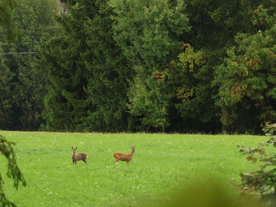 Natuur Vitalpina Natuur Vitalpina