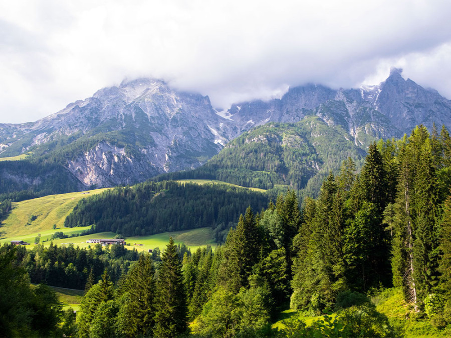 Leogang Hütten