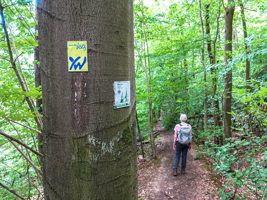 Weserbergland-Weg Weserbergland-Weg