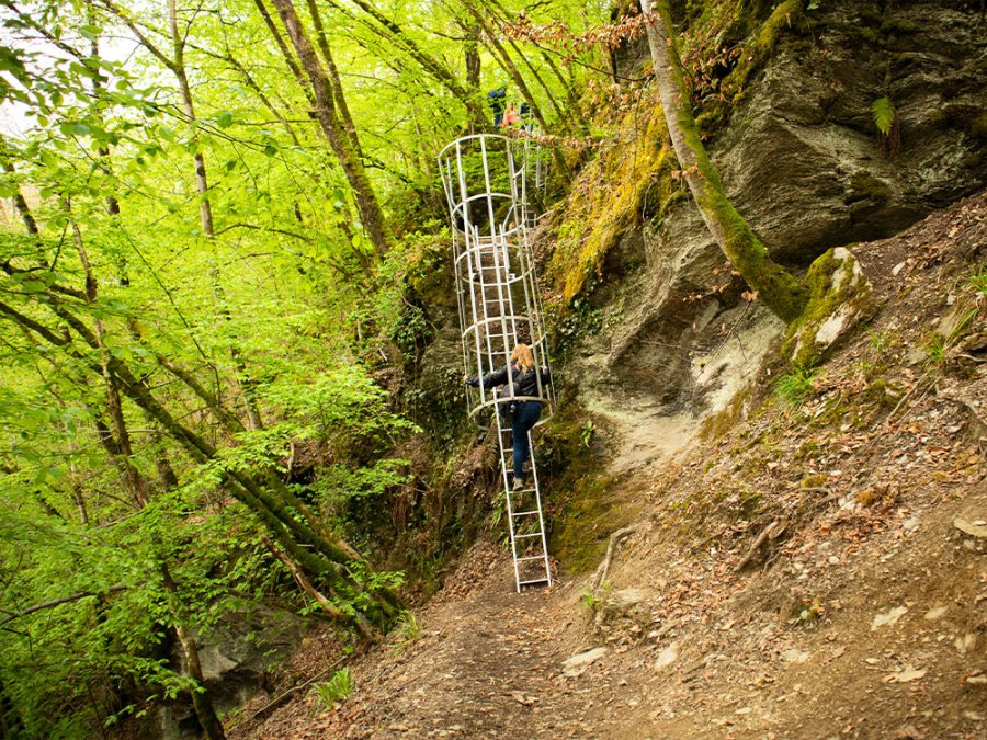Laddertjeswandeling Ardennen Laddertjeswandeling Ardennen