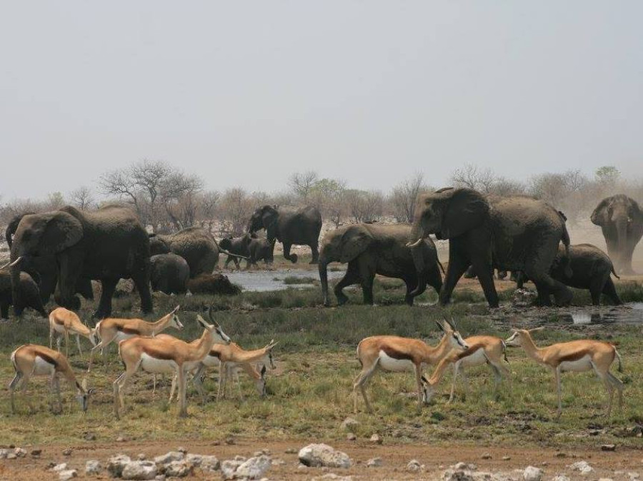 Namibië Namibië