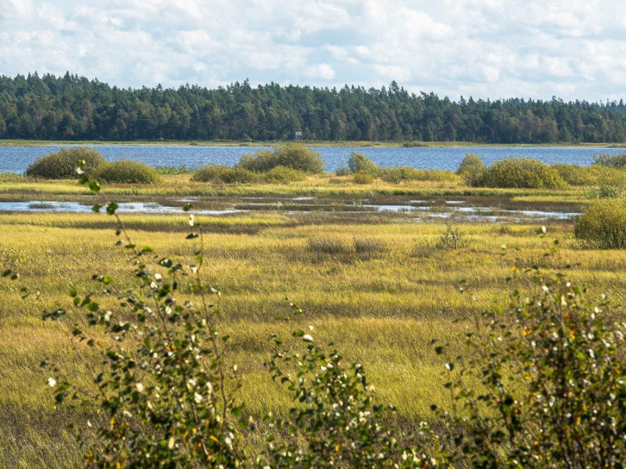 Kävsjön meer Kävsjön meer