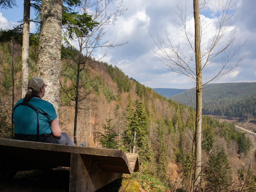 Nördlicher Schwarzwald