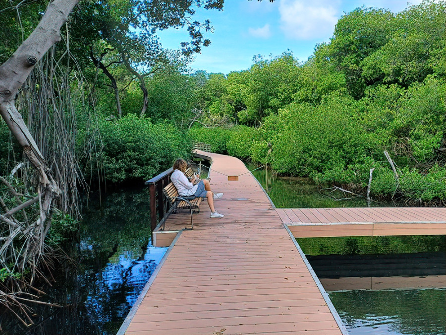 Curaçao Rif Mangrove Park