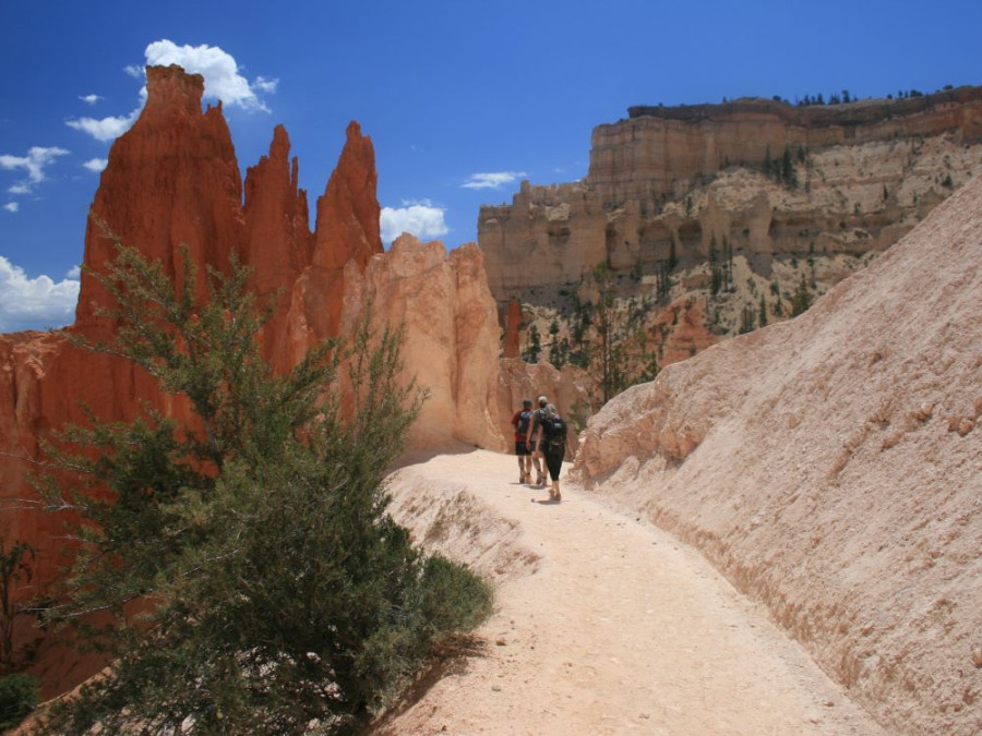 Hiking trail Bryce Canyon