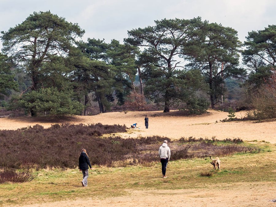 Bakkefeansterdunen Bakkefeansterdunen