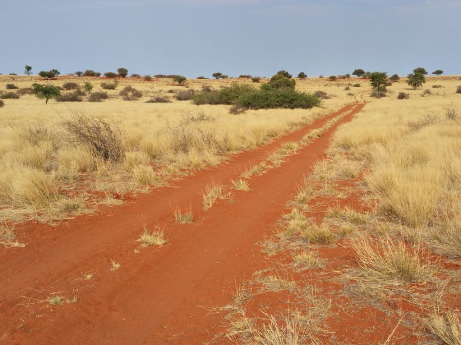 Rondreis Kalahari