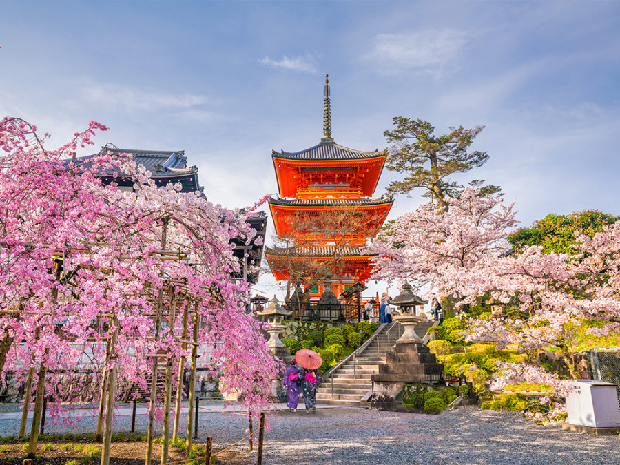 Bloesemseizoen Japan