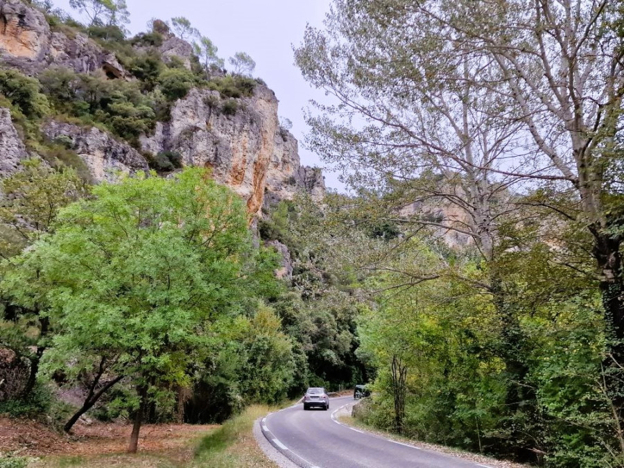 Correns natuur klimwanden