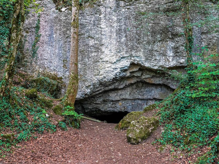 Grot Hotton