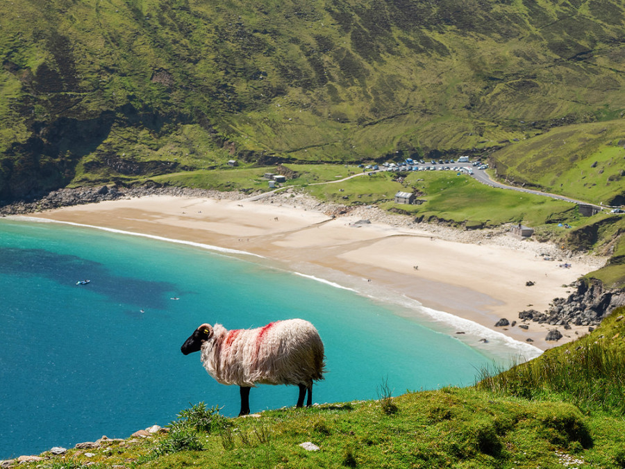 Highlights Wild Atlantic Way