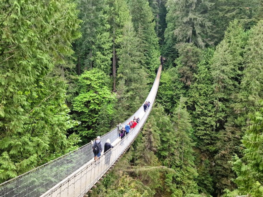 Vancouver Suspension Bridge