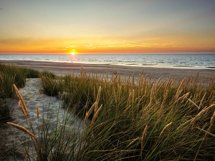 Les dunes Marchant Les dunes Marchant