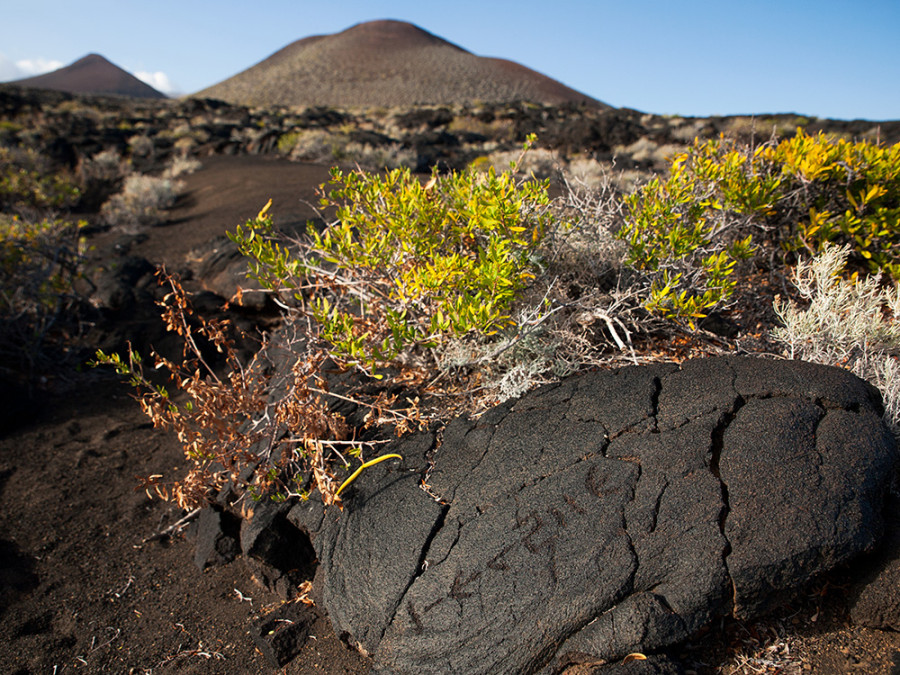 El Hierro lava