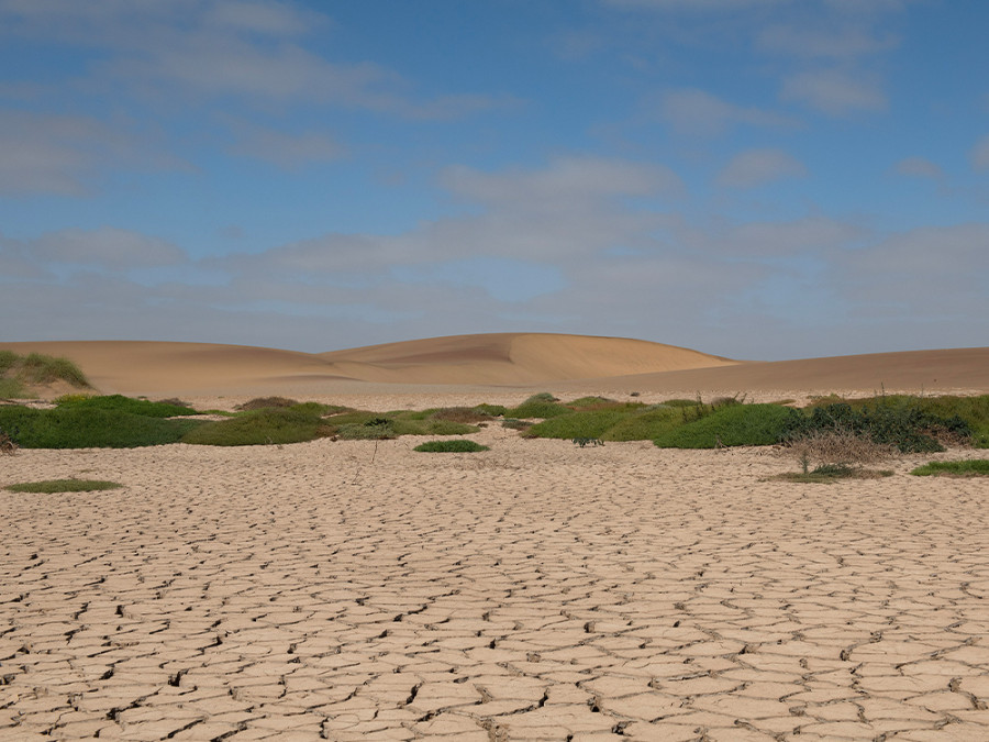 Excursie Skeleton Coast