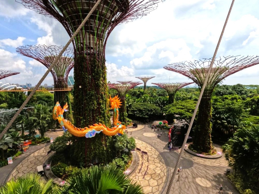 Supertrees Gardens by the Bay Singapore