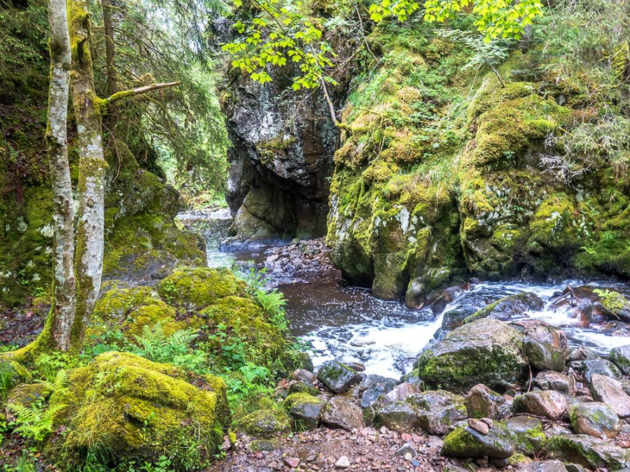 Schlucht Zwarte Woud Schlucht Zwarte Woud