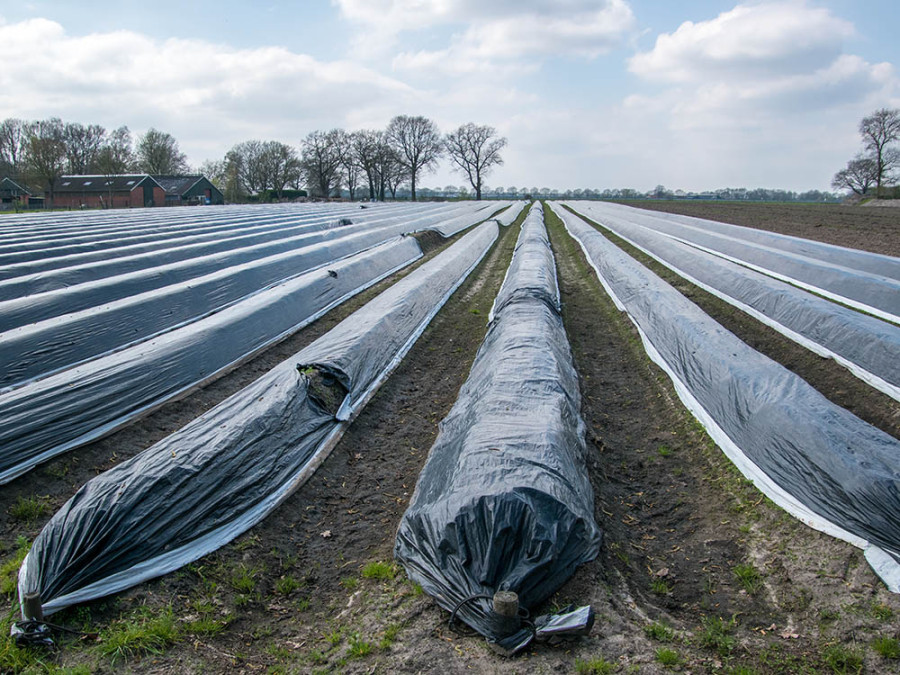 Aspergeboerderij Vechtdal