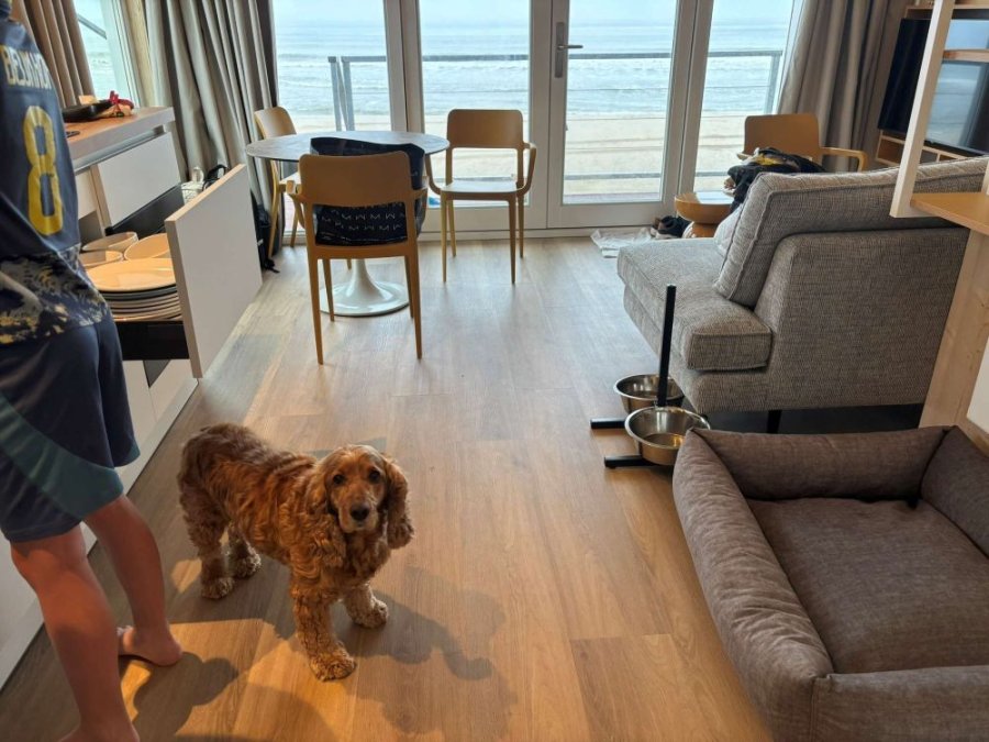 Overnachten met hond aan zee