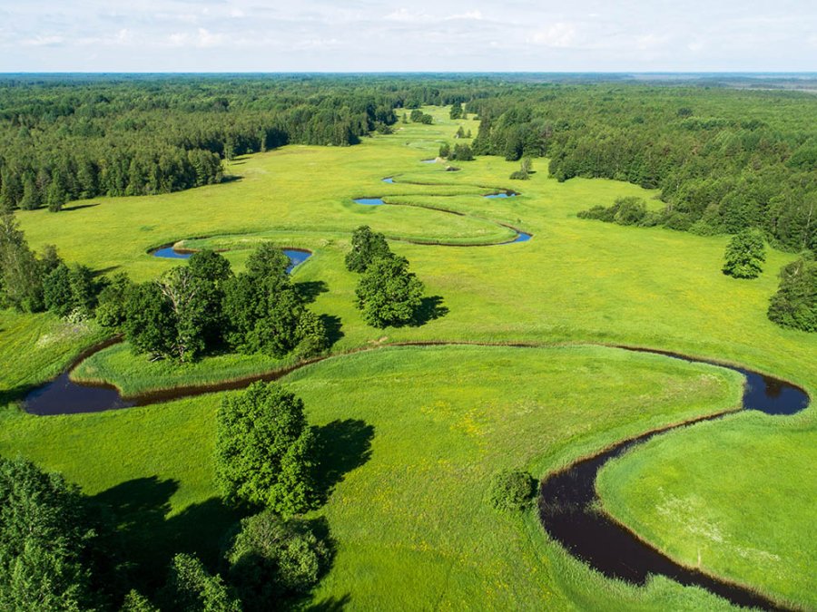 Nationaal Park Soomaa Nationaal Park Soomaa
