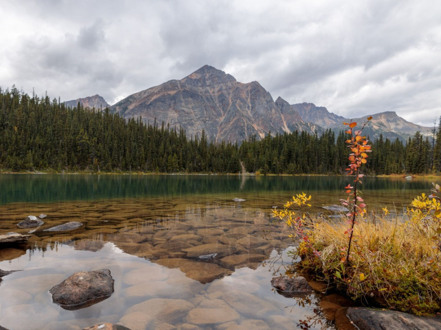 Jasper NP