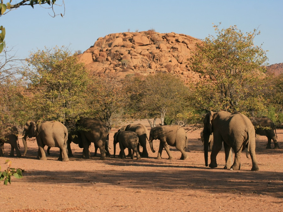 Damaraland Damaraland