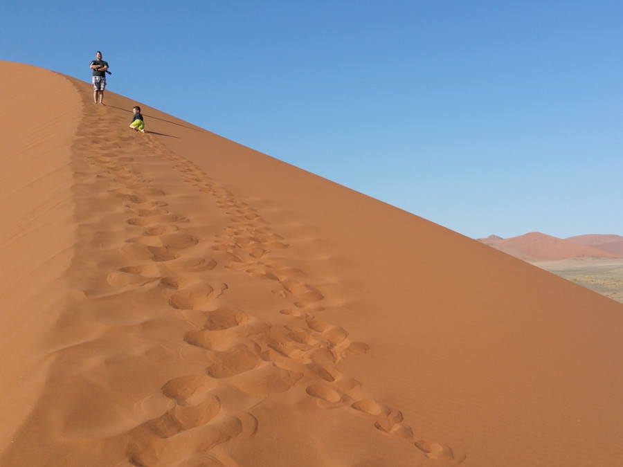 Duinen Namibië woestijn