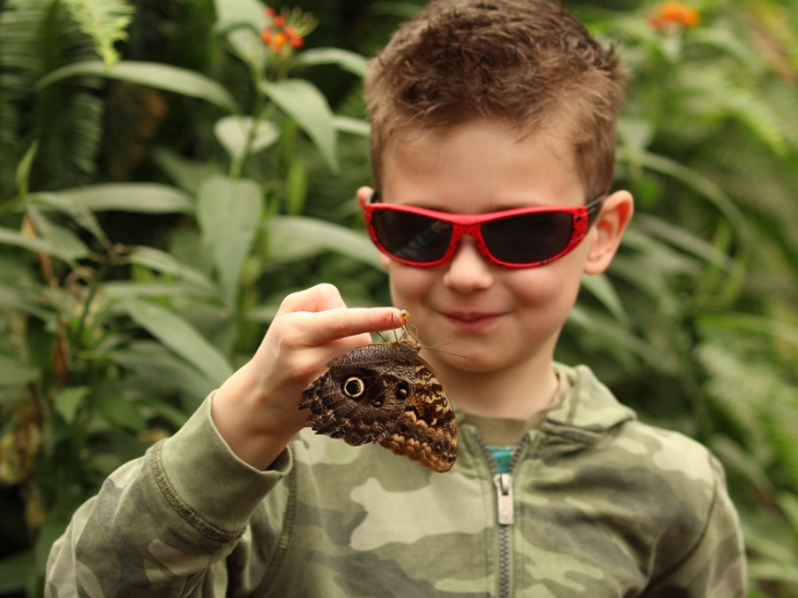 Vlindertuin en kolibrietuin Mindo Vlindertuin en kolibrietuin Mindo