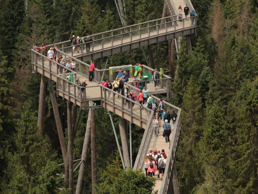 Bachledka Canopy Tour