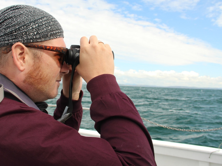 Walvissen spotten Ierland Walvissen spotten Ierland
