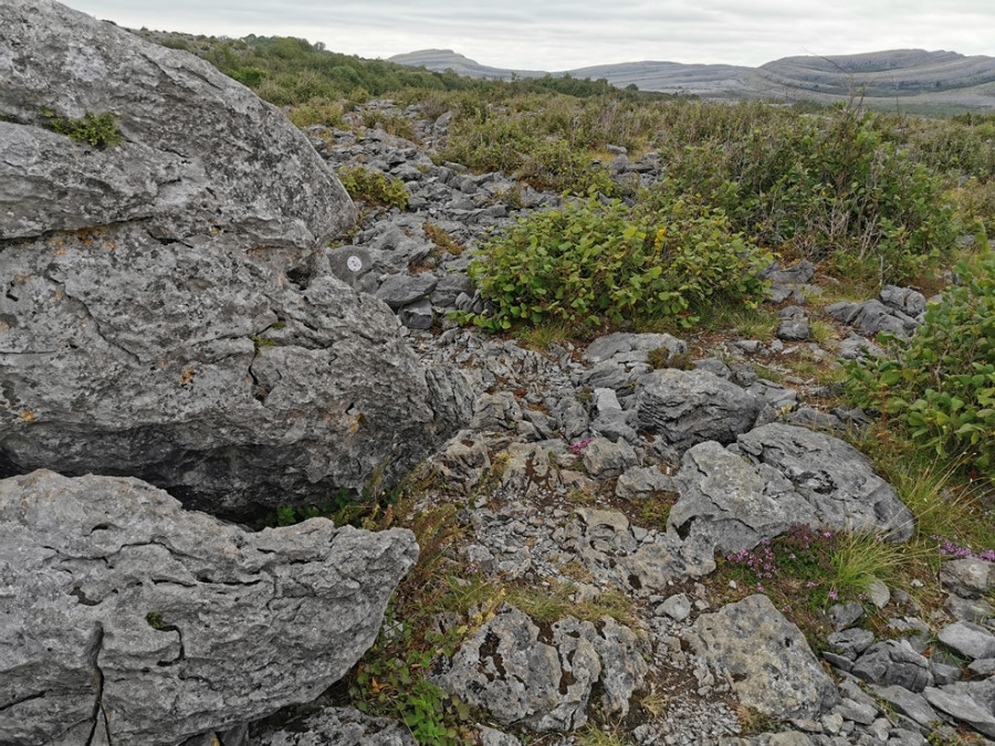 Burren Burren