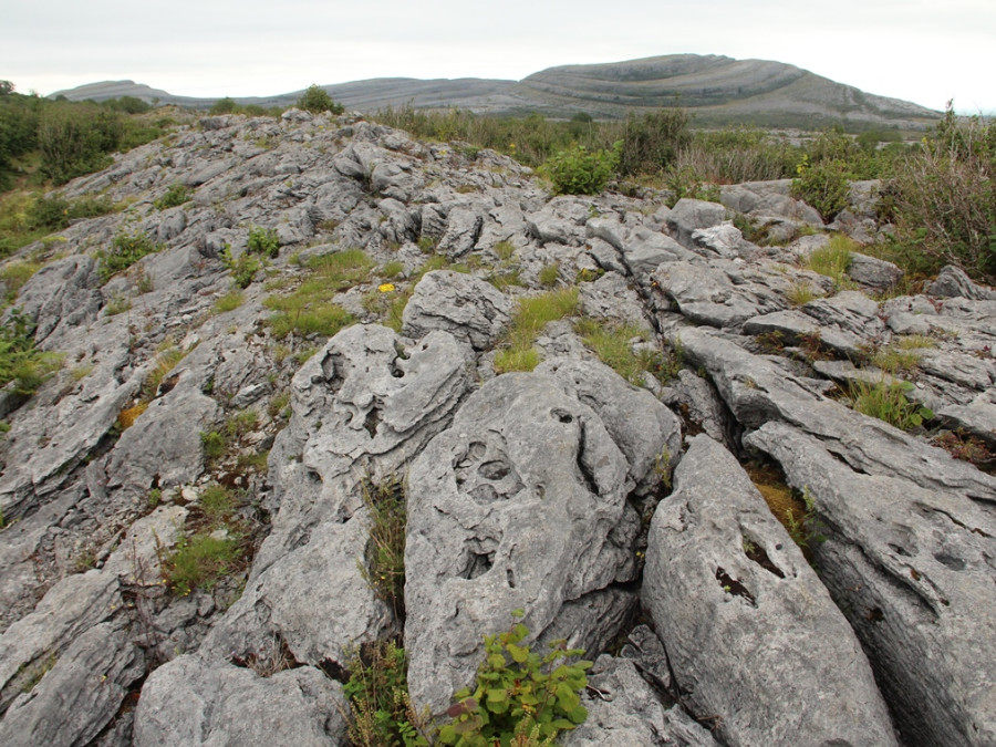 Burren steenplateau Burren steenplateau