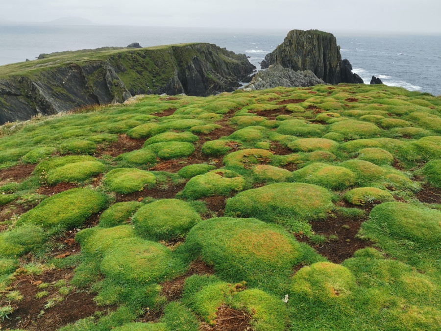 Malin Head