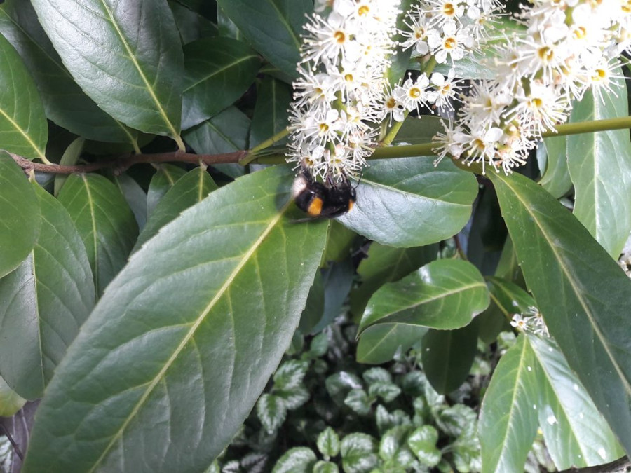Natuurtuin Natuurtuin