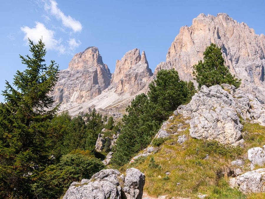 Natuur in Val Gardena Natuur in Val Gardena