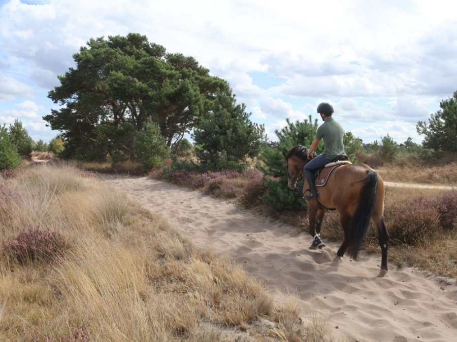 Groote Heide