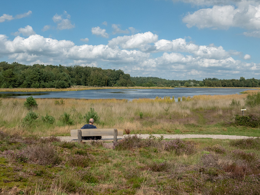 Leersumse Plassen