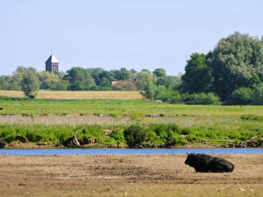 Rustig fietsen Nederland