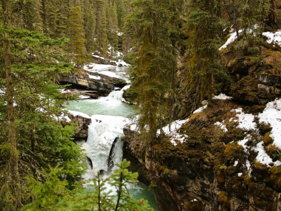 Johnston Canyon in de lente Johnston Canyon in de lente