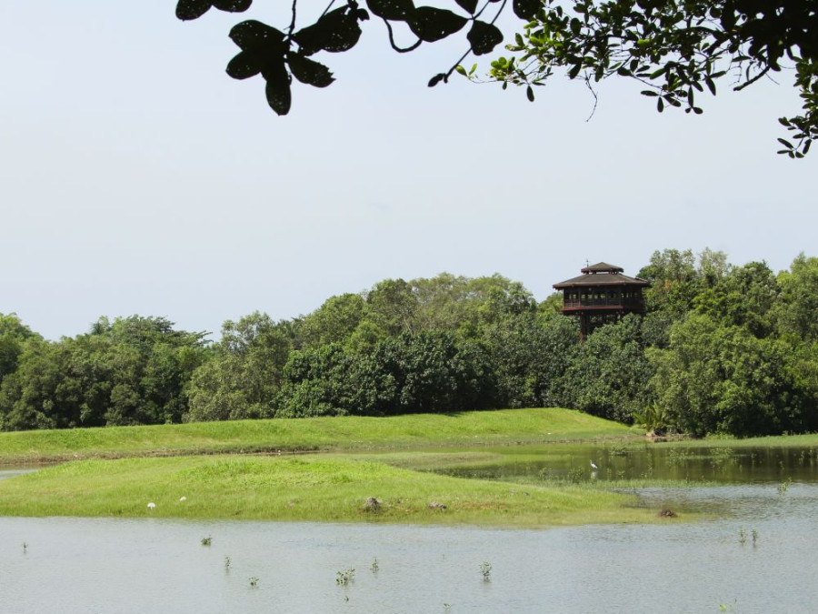 Natuur Sungei Buloh