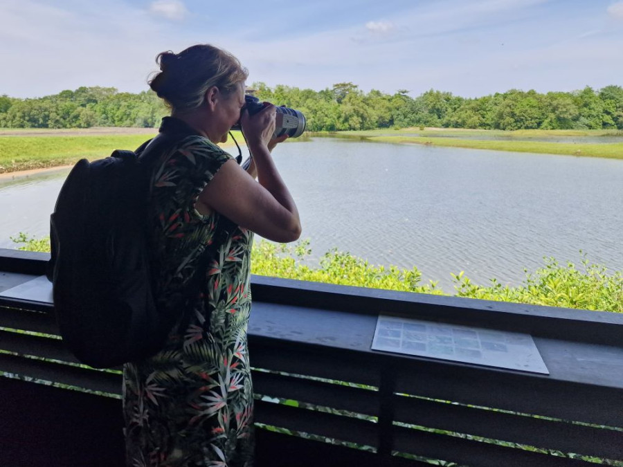 Sungei Buloh