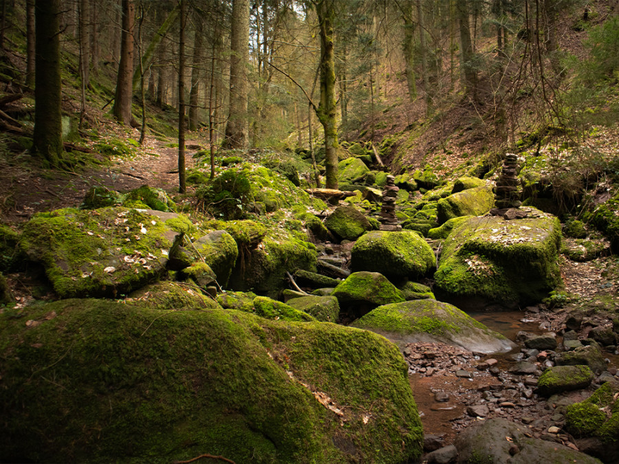 Wolfsschlucht