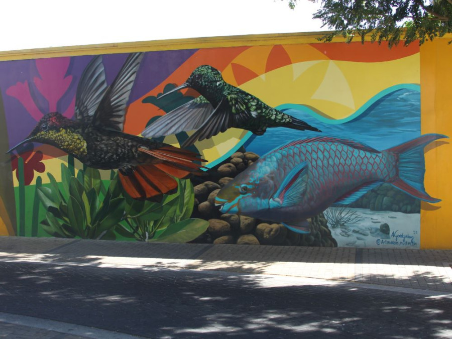 Street art Aruba papegaaivis kolibries