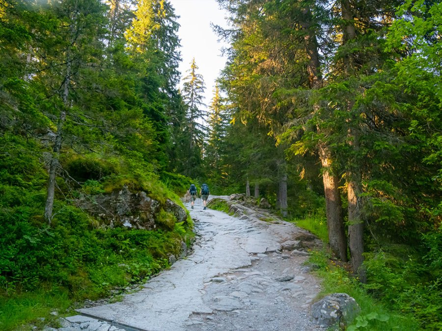 Natuur Les Contamines