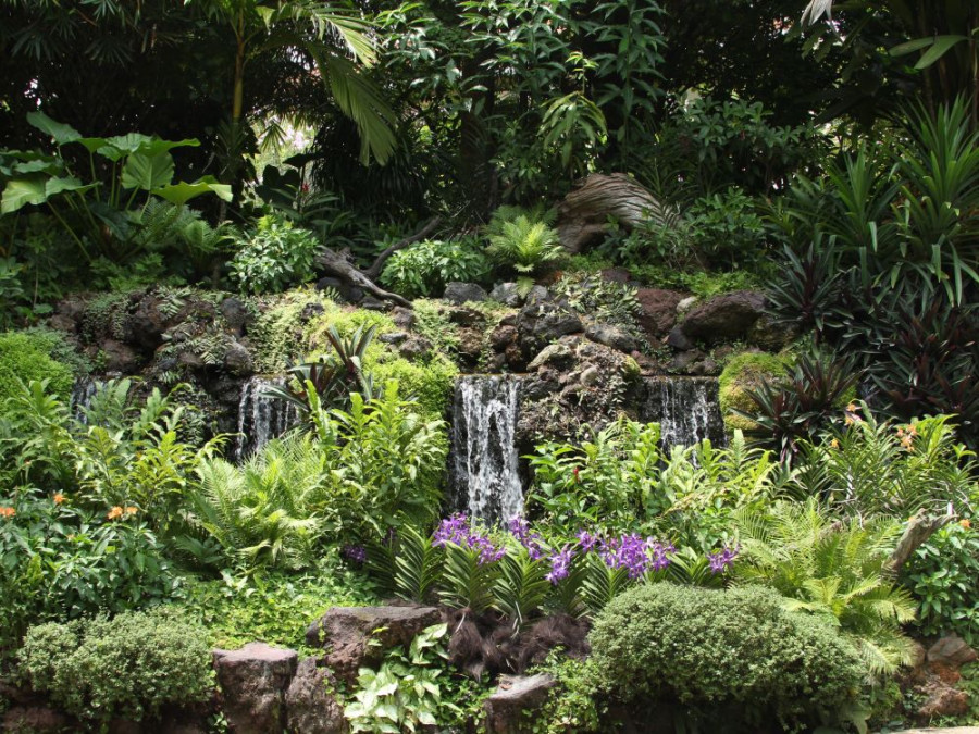 Botanische Tuin Singapore Botanische Tuin Singapore
