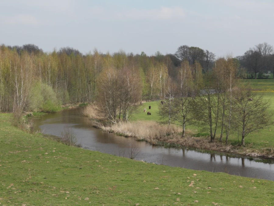 Zicht vanaf Distelbelt