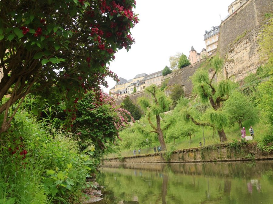 Alzette in Luxemburg Alzette in Luxemburg