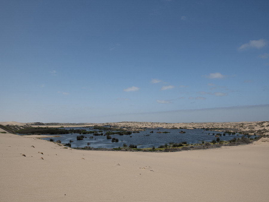 Natuur Skeleton Coast