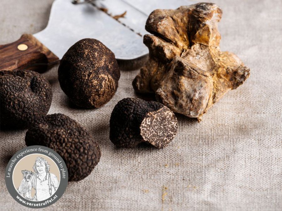 Truffelreis Le Marche